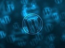 Sicherheitslücken bei Wordpress-Plugins
