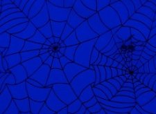 Der erbitterte Kampf gegen das Darkweb - ein zweischneidiges Schwert?