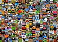 Bilder retten von Handy, Festplatte oder Speicherkarte