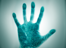 Lücken bei Fingerabdruck-Scannern entdeckt