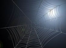 Die „Malware-Methoden“ des FBI im Kampf gegen Kinderpornografie