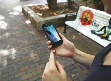 Unsere treuen Begleiter scheinen wenigen Besitzern schützenswert