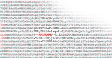 G DATA entdeckt trickreich verstecktes Schadprogramm